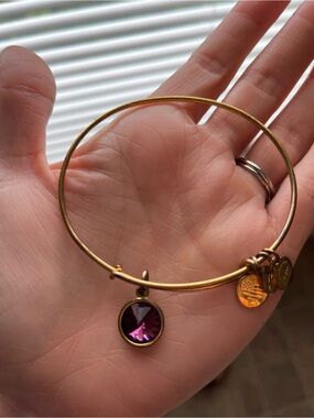 Alex & Ani Purple (Amethyst) Charm Bracelet